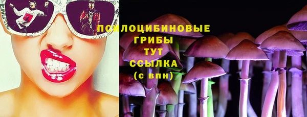 метадон Горнозаводск