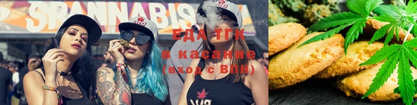 дмт Абаза