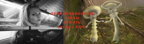 СК Горняк