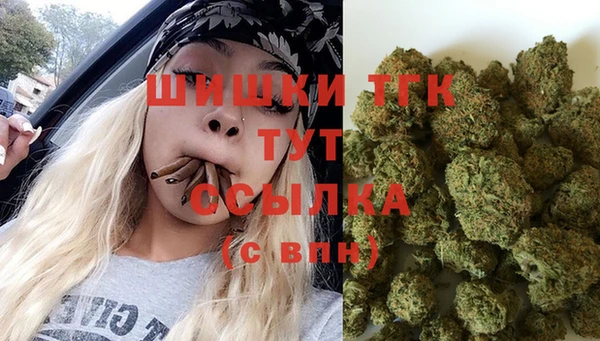 дмт Абаза