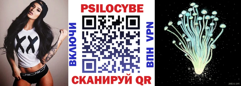 kraken как зайти  Хабаровск  Псилоцибиновые грибы Psilocybine cubensis  дарнет шоп 