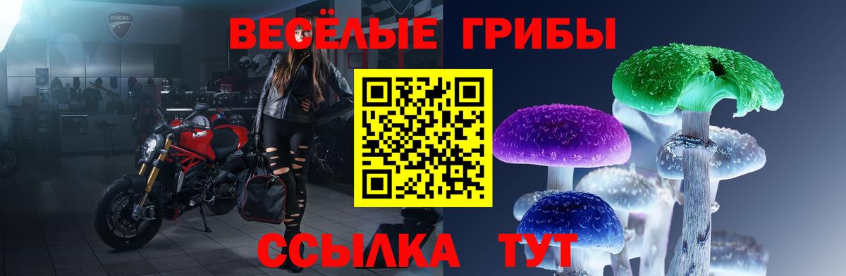 Галлюциногенные грибы GOLDEN TEACHER Хабаровск